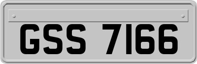GSS7166