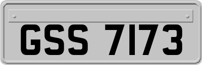 GSS7173