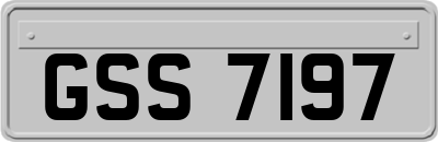 GSS7197