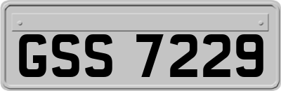 GSS7229