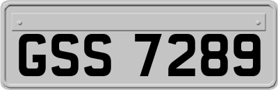 GSS7289