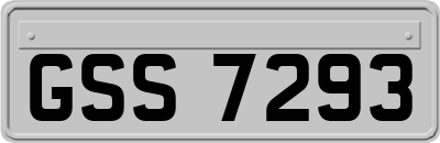 GSS7293