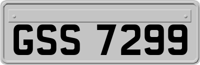 GSS7299