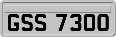 GSS7300