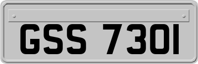 GSS7301
