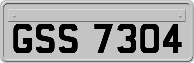 GSS7304