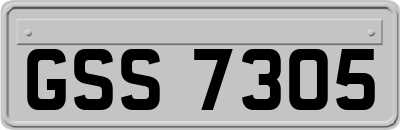 GSS7305