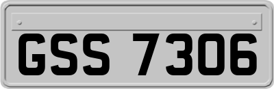 GSS7306