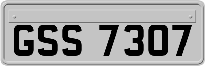 GSS7307