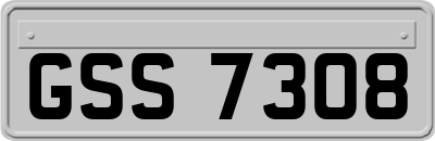 GSS7308