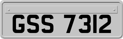GSS7312
