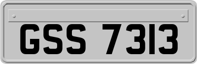 GSS7313
