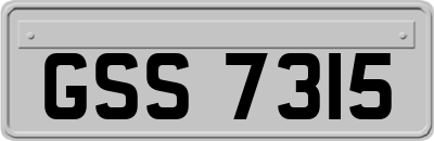 GSS7315