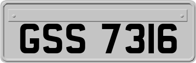 GSS7316