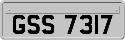 GSS7317