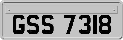 GSS7318