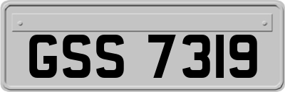 GSS7319