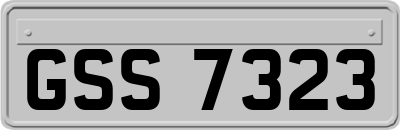 GSS7323