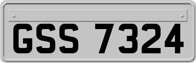 GSS7324
