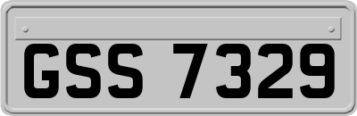 GSS7329