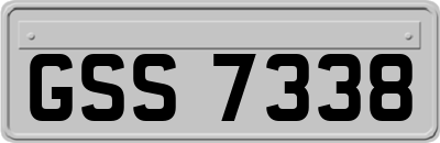 GSS7338