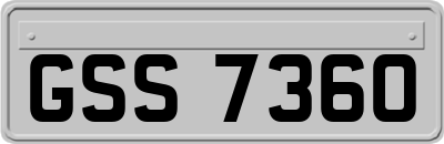 GSS7360