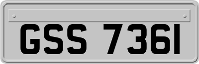 GSS7361