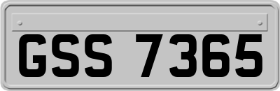 GSS7365