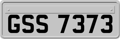 GSS7373