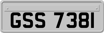 GSS7381