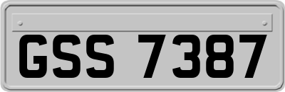 GSS7387