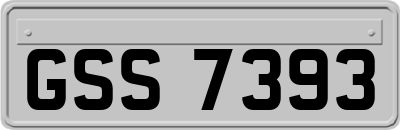 GSS7393