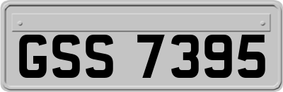 GSS7395