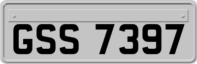 GSS7397