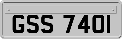 GSS7401