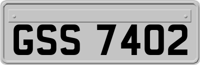 GSS7402