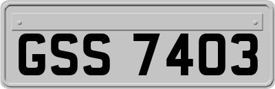 GSS7403