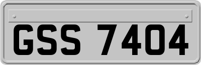 GSS7404