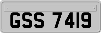 GSS7419