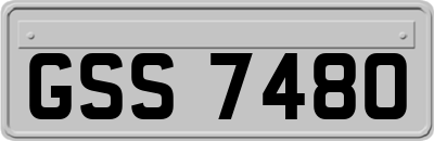 GSS7480