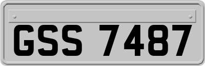 GSS7487