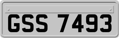 GSS7493