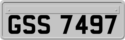 GSS7497