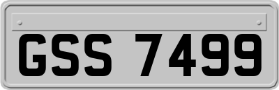 GSS7499