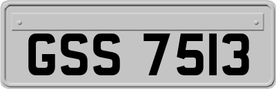 GSS7513