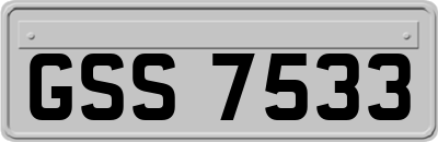 GSS7533