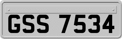 GSS7534