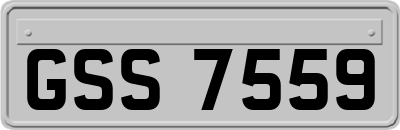 GSS7559