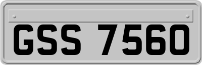 GSS7560