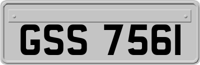 GSS7561